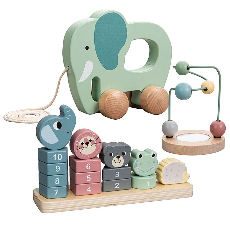 Montessori educational toy set